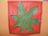 /album/feuilles-et-papillons/picture-236-jpg/